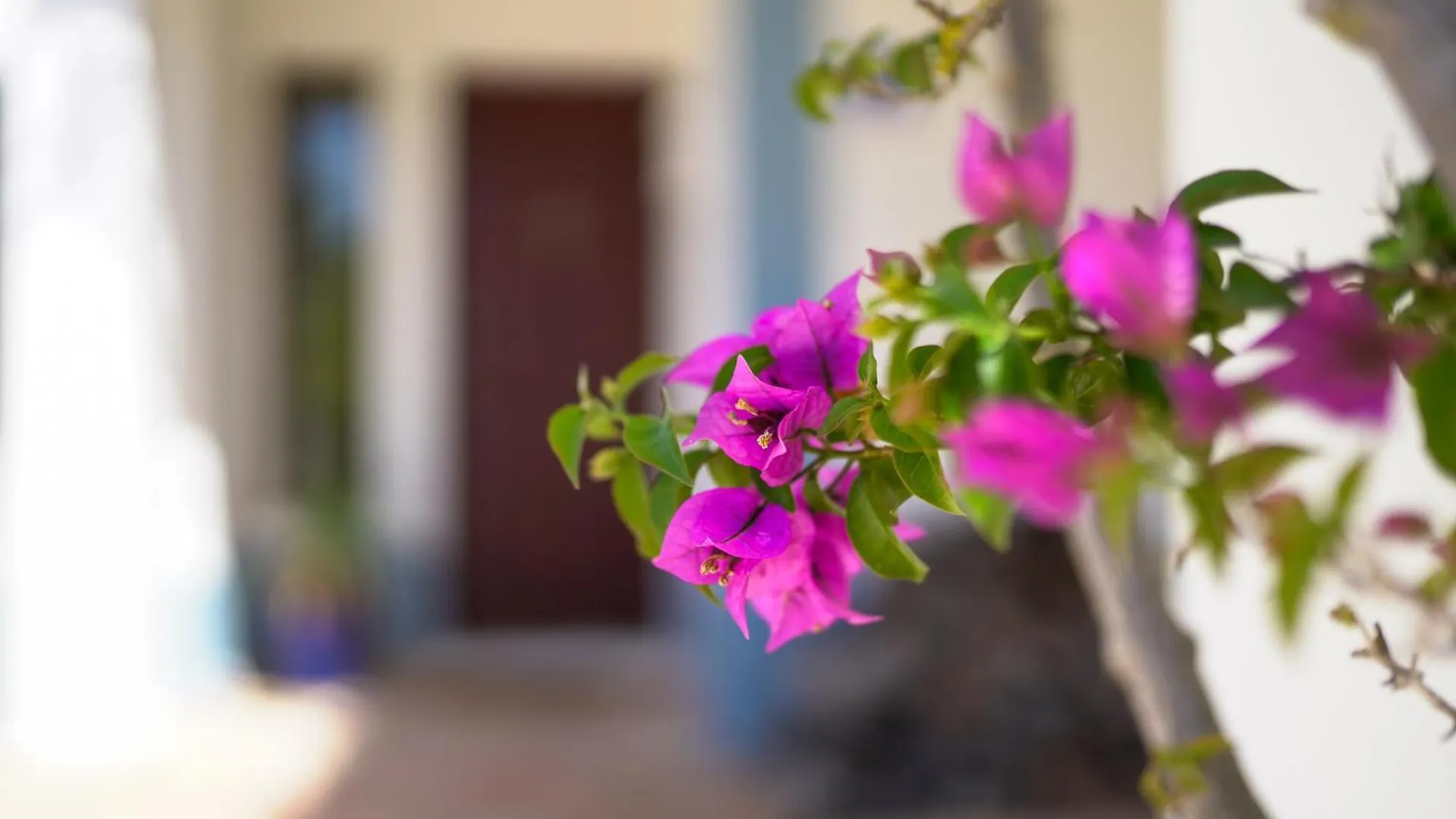 Hotel Quinta do Rosal Carvoeiro  Portogallo
